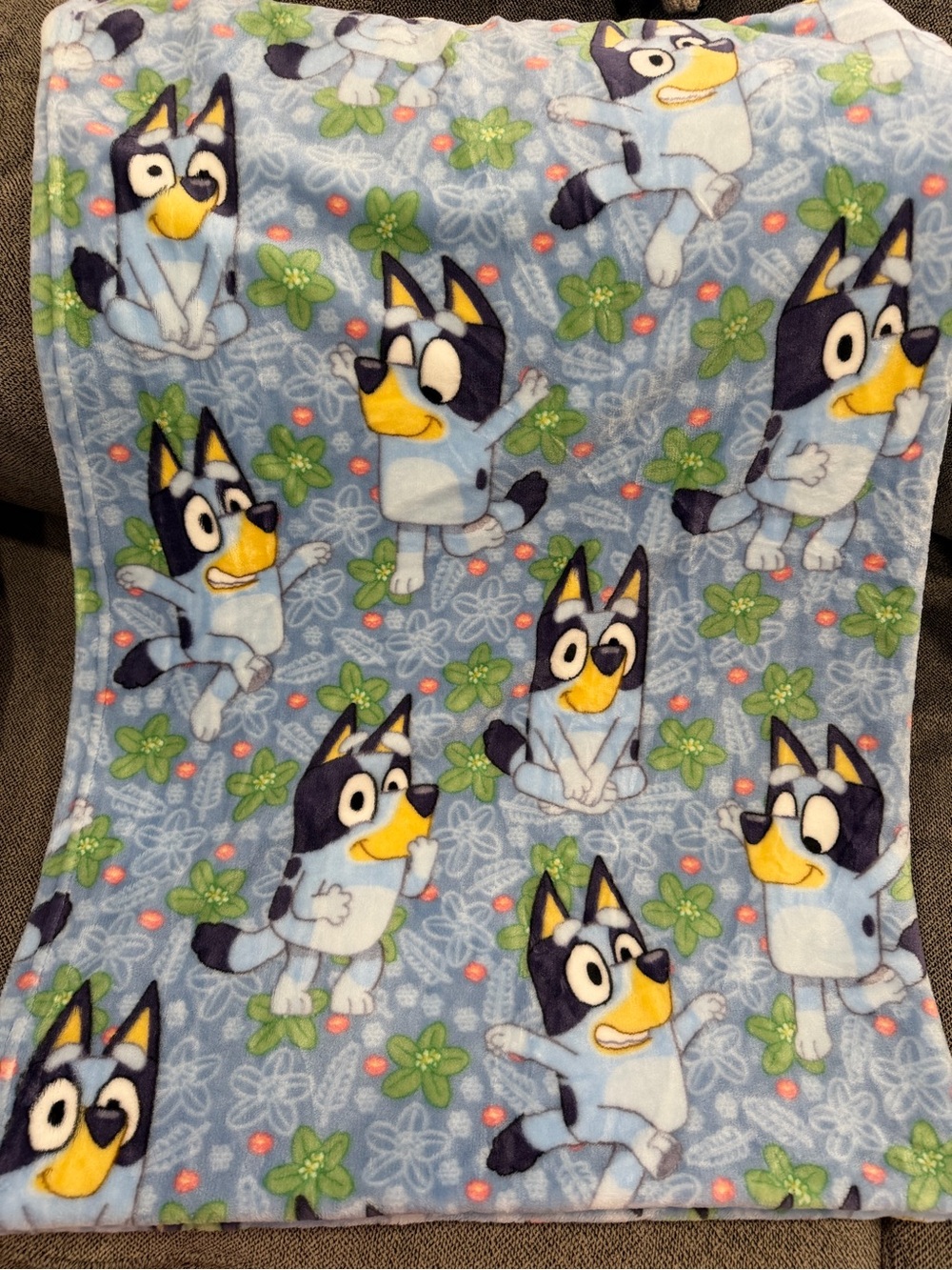Bluey Blanket